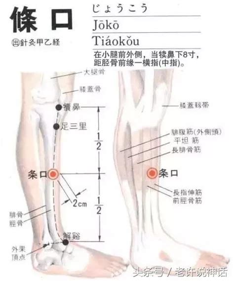 耿恩廣：全身最重要的74個穴位講解（附圖） 每日頭條