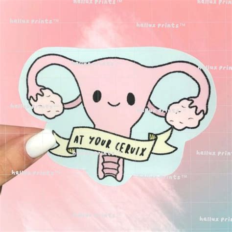 At Your Cervix Uterus Sticker Female Anatomy Labour And Etsy