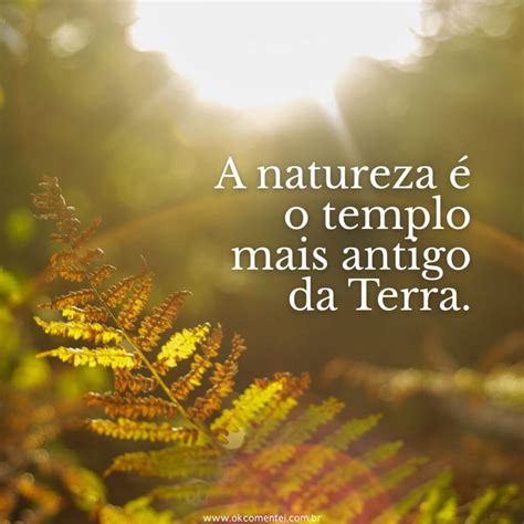 Frases Para A Natureza - 8