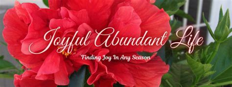 Joyful Abundant Life Finding Joy In Any Season