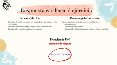 SOLUTION Respuestas Y Adaptaciones Cardiovasculares Al Ejercicio