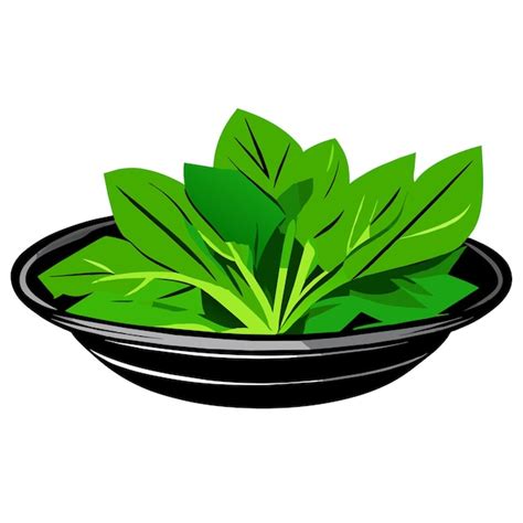 Premium Vector Fresh Green Salad On A Plate Vector Illustration