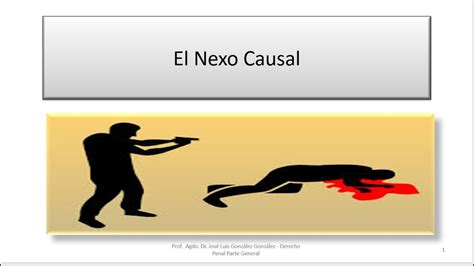 Introducción a la teoría del nexo causal YouTube