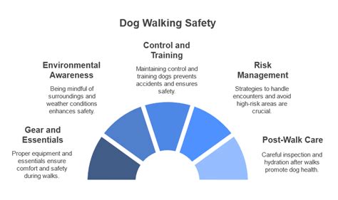 Dog Walking Safety for Seniors in All Areas