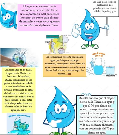 Importancia Del Agua