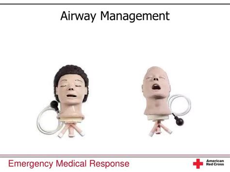 Ppt Airway Management Powerpoint Presentation Free Download Id5921479