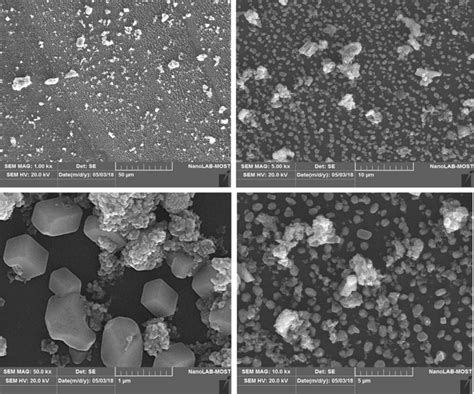 Sem Micrograph Of Nano Nio Synthesized In Different Magnifications Download Scientific Diagram