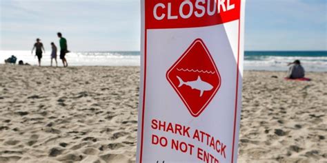 California woman describes shark attack: 'I saw it clamp on my leg' | Fox News