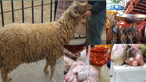 🐏🐏بمناسبة حلول عيد الأضحى المبارك شرينا الخروف والعطرية وشوية شويه من