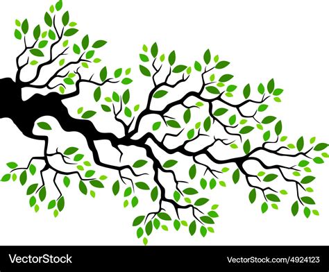 Green Leaf Tree Branch Royalty Free Vector Image