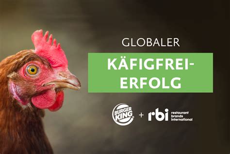 Globale Kampagne Erfolgreich Albert Schweitzer Stiftung F R Unsere