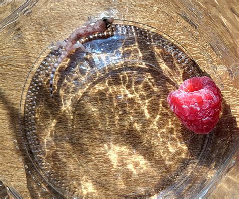 straight guys caught 9