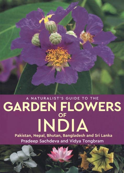 A Naturalists Guide To The Garden Flowers Of India Pakistan Nepal