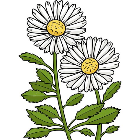 Daisy Flower Clipart Clipart Library Clipart Library Clip Art Library