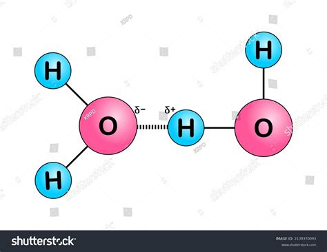 Water As Universal Solvent: Over 10 Royalty-Free Licensable Stock ...