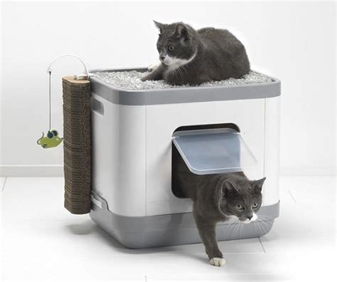 Maison de toilette les meilleurs modèles pour mon chat Jardingue