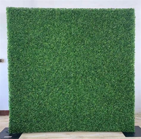 8x8 Hedge Wall Green Free Shipping Etsy