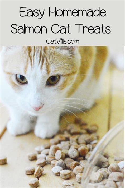 Homemade Salmon Cat Treats Recipe: Flavors of Love