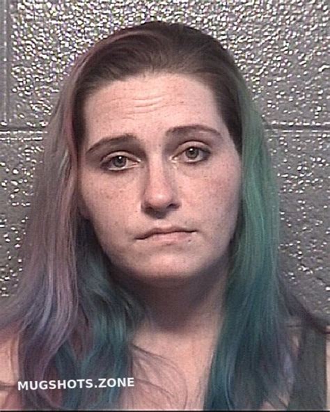 Mendez Krystal Leigh Danville Mugshots Zone