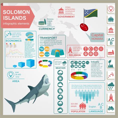 Infographics De Solomon Island Datos Estadísticos Vistas Ilustración