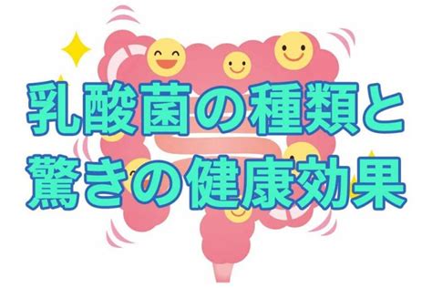 乳酸菌の種類と特徴をわかりやすく紹介！