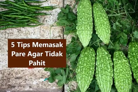 Tips Memasak Pare Agar Tidak Pahit Cara Ampuh Menu Pare Jadi Lebih