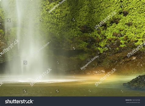 Bridal Veil Falls Rainforest Waterfall Raglan Stock Photo Edit Now