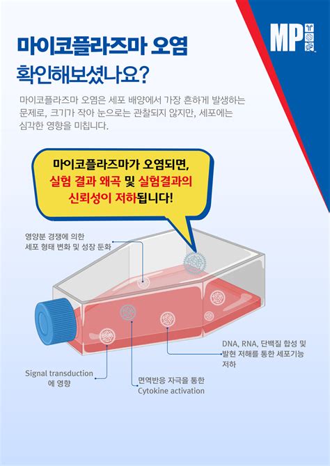 요즘 실험실 최대고민 마이코플라즈마 오염 Mycoplasma Contamination Mycoplasma Detection And Cure Kit Bric