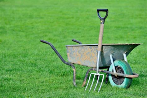 Wheelbarrow Stock Photo Download Image Now Istock