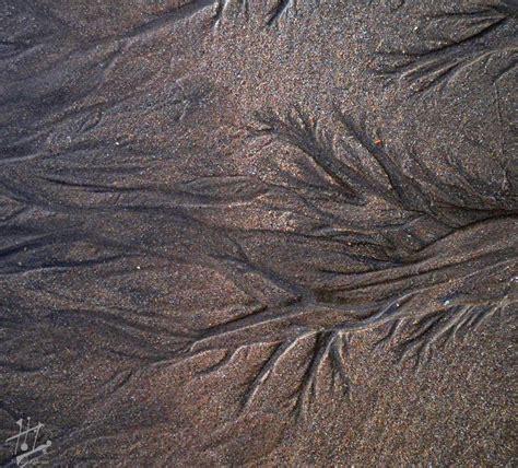 Mirando en el mundo En las entrañas el agua que dibuja en la arena