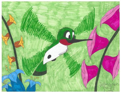 Swifty The Hummingbird Julian Cool Jules Lester Drawings