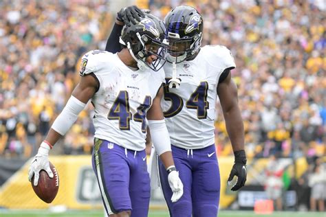 Baltimore Ravens: Latest News, Standings, Picks & Odds