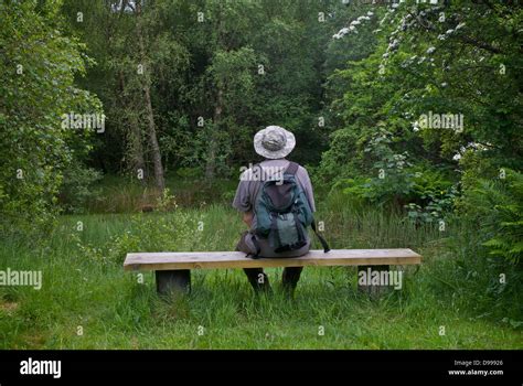 Man sitting on bench at Bowness-on-Solway nature reserve, Cumbria ...