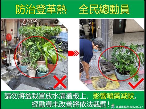 【衛生局】高雄市今日無新增登革熱個案 全球登革熱疫情嚴峻 密切管控境外移入風險 「登革熱決戰境外獎勵計畫」籲請入境民眾出現疑似症狀「主動通報採