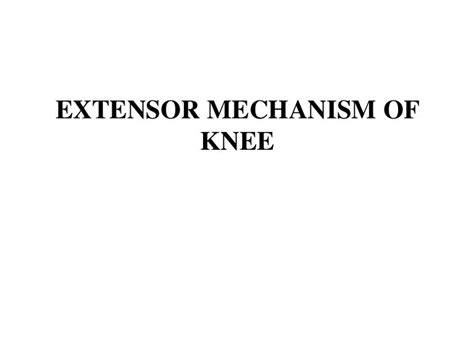 Extensor mechanism of knee