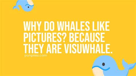 51 Whale Puns That Whale Make You Laugh Punpress