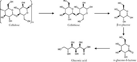 Design Of Enzymatic Cascade Processes For The Production Of Low Priced