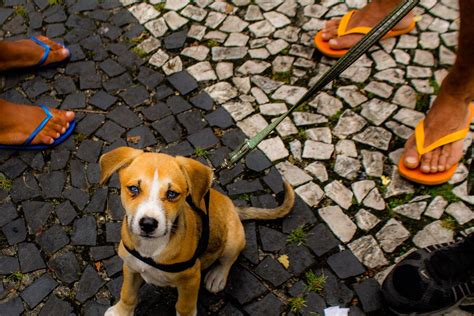 Crf Pr Projeto Leva Cuidados E Dignidade Popula O De Rua