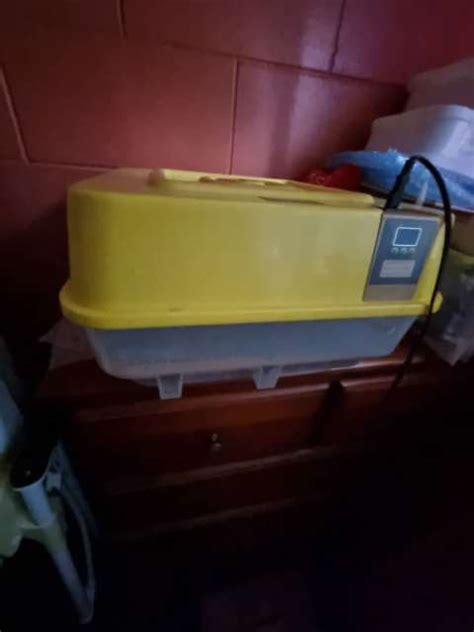 fully automatic 48 egg Janoel incubator. | Pet Products | Gumtree ...