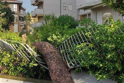 Nubifragio E Tromba D Aria Tra Livorno E Pisa Le Foto Corriere It