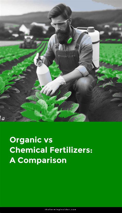 Organic Vs Chemical Fertilizers A Comparison