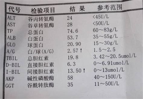 肝功能化验单中英文有来医生