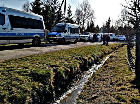 Szcz Liwy Fina Poszukiwa Latka W Powiecie Piotrkowskim Szuka A