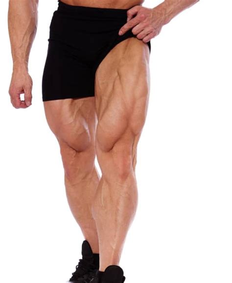 How To Develop Strong Muscular Thighs Hubpages