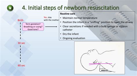 Ppt Newborn Resuscitation Powerpoint Presentation Free Download Id