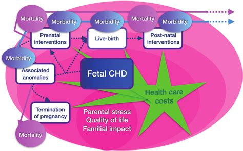 Different Impacts Of Prenatal Diagnosis Of Congenital Heart Diseases