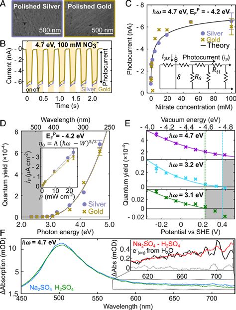 Electron Photoemission In The Absence Of Plasmon Excitation A Sem Of