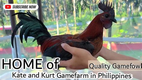 Episode Let S Visit This Beautiful Gamefarm Kate And Kurt Gamefarm