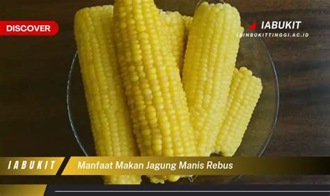 Temukan 7 Manfaat Makan Jagung Manis Rebus Yang Wajib Kamu Intip Discover