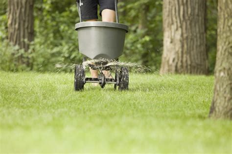 Fertilizer_Spreader_iStock_000018118066Medium - Miller Seed Company